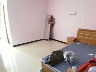 t(y)Ժ ˴㑳1 ס800Ԫ